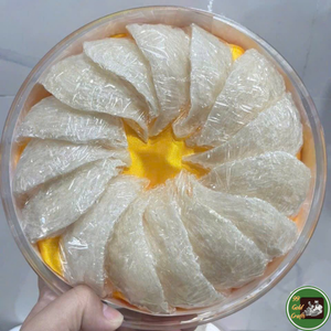 Nido de Pájaro Comestible Hecho con Material Natural de Nido de Golondrina Seco para Preparación de Sopas y Postres 99 Dold Data de Vietnam - Product Image 1
