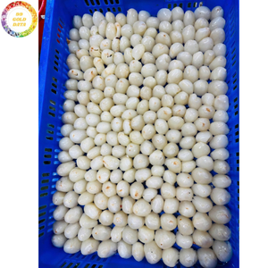 Lichi Congelado IQF de Primera Calidad, Sin Azúcar Añadido, Fruta Tropical Natural, Envasado al Vacío, Exportación a Granel, Suministro de Fábrica al Por Mayor - Product Image 3