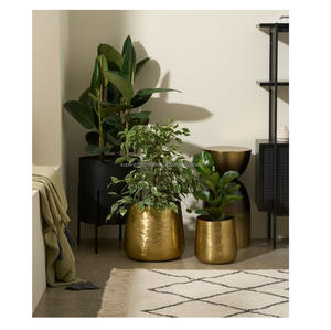 Macetero Decorativo de Metal Premium para Diseño de Interiores de Lujo, Espacios de Jardín y Hogares Contemporáneos - Product Image 5