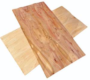 Placage de noyau d'eucalyptus pour la fabrication de contreplaqué - Product Image 1