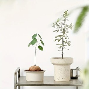 Maceta de Cerámica Acanalada y Esmaltada con Diseño Profundo, Construcción Duradera, Elegante Decoración para Plantas de Interior - Product Image 3