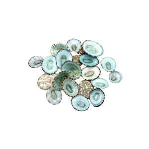 Concha de Limpet Verde Natural Ecológica para Acuarios, Manualidades, Joyería y Decoración del Hogar con Temática Costera - Product Image 5