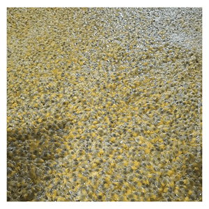 Purée de fruit de la passion surgelée 100% naturelle, avec et sans pépins, en vrac, conservation par l'eau - Product Image 1