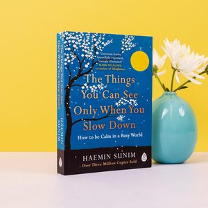 the things you can see only when you slow <b>down</b> By Haemin Sunim English Peperback Book Bestselling Mindfulness Book - Product Image 4