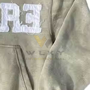 Vente en gros : Sweat-shirts à capuche pour hommes en coton mélangé, design de qualité supérieure, broderie effet vieilli, couleur unie, légers, en stock - Product Image 5