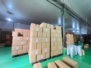 Mangues séchées croustillantes en vrac, fournisseur vietnamien, vente en gros de chips de fruits tropicaux, tranchées, en conserve, 1 kg - Product Image 2