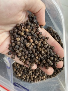 [NOUVELLE RÉCOLTE] POIVRE NOIR VERT VIETNAMIEN DE QUALITÉ SUPÉRIEURE SÉCHÉ EN GROS PIMENTÉ 25kg/sac 500 550 570G/L FOURNITURE À L'EXPORTATION MONO-ORIGINE - Product Image 5