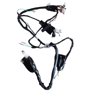 Juego de Cables de Alto Rendimiento Delanteros y Traseros para Bajaj Tuk Tuk de Tres Ruedas, Modelo 2011, Repuestos con Calidad OEM - Product Image 1