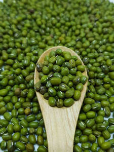 New Harvest FitTree International Indian Green Moong <b>Beans</b> Natural Premium Grade Whole Pulses 24 Months Shelf Life Gujarat for - Product Image 6