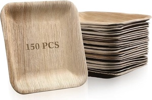 Assiettes écologiques pour l'extérieur, design carré de 8 pouces, vaisselle compostable en areca pour pique-niques et voyages, lot de 25 assiettes - Product Image 1