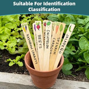 Lot de 30 bâtonnets mélangeurs en bois de 12 pouces, grands bâtonnets de type bâtonnet de glace pour peinture, artisanat et époxy, 100% naturels - Product Image 4