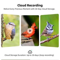 Mangeoire à oiseaux intelligente avec caméra AI, solaire, étanche, pour extérieur, avec surveillance vidéo HD