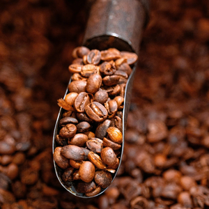 Café Arábica de Tueste Medio, Lavado, S18, en Grano Entero, Empaque Personalizado, Marca OEM, Procesamiento Ecológico, Listo para Enviar desde Vietnam - Product Image 6