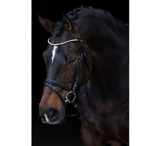 Bride Snaffle - Product Image 1