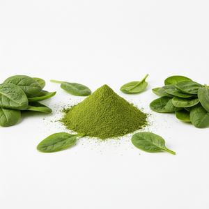 Poudre d'épinards séchée par pulvérisation 100 % pure, biologique, sans OGM, extrait de feuilles, excellente solubilité dans l'eau pour les nutraceutiques santé en gros - Product Image 5