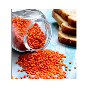 Lentejas Rojas de la Mejor Calidad, Lentejas Enteras, Lentejas Partidas, Mejor Precio, Masoor Dal - Product Image 5