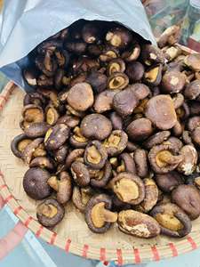 Palitos de Taro Secos de Marca Privada, Suministro a Granel de Vietnam, Venta al por Mayor de Fábrica, Batatas Secas, Snack Natural, Verduras Deshidratadas - Product Image 4