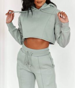 เสื้อสเวตเชิ้ตคอเต่าแบบยาวสำหรับผู้หญิง ปักลายปักตราสัญลักษณ์แบบกำหนดเอง ผลิตโดย OEM ผ้าถักเรียบแบบสวมหัว - Product Image 4