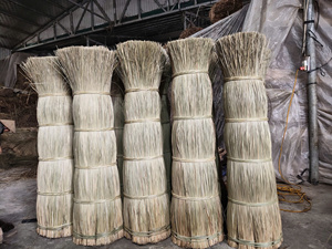 High Quality Natural Seagrass Raw Material From Vietnam For Handicrafts Home Decor And Furniture Production - Product Image 1