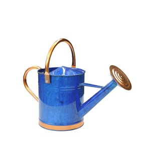 Arrosoir en métal au look vintage élégant, avec revêtement vert, pour fleurs, pour l'extérieur et les fournitures de jardin - Product Image 3