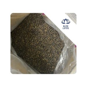 OFERTA ESPECIAL Semillas de Papaya Secas Blue Lotus 2026, Grado Vietnam Origin, 1 kg, Ingrediente Natural Tradicional, Duración de Vida Útil de 6 a 12 Meses - Product Image 1