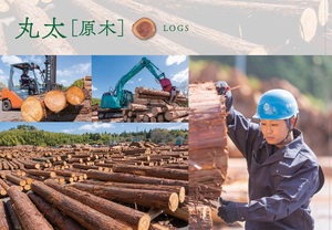 Excelente Producto Japonés, Mejores Troncos de Madera en Rodajas, Materia Prima Decorativa para Compradores - Product Image 4