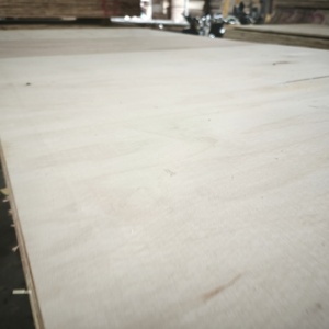 Contrachapado de Eucalipto/Acacia de Primera Calidad, Ecológico, de 18 mm, Superficie Lijada, para Múltiples Aplicaciones, Origen Hanoi - Product Image 1