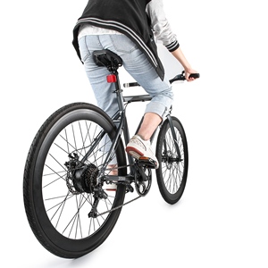 Bicicleta de Montaña con Asistencia Eléctrica, Neumáticos 700*35C, Cuadro de Aleación de Aluminio, Motor sin Escobillas, Batería de Litio de 36V 10AH, 21 Velocidades - Product Image 5