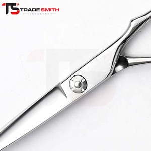 Tijeras de peluquería clásicas de acero inoxidable TSI, instrumento de precisión para cortar el cabello, para uso profesional en salones y barberías. - Product Image 3