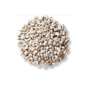 Graines de Carthame de Haute Qualité en Gros pour l'Exportation depuis l'Afrique du Sud GLOBAL EXPORT... pour les Distributeurs et Importateurs en Gros du Monde Entier - Product Image 6