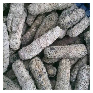 ปลิงทะเลแห้งคุณภาพสูงขายส่ง - Product Image 1