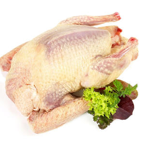 Export Quality Frozen Pigeon Premium Grade Pigeon <b>Meat</b> for Wholesale Buyers - Product Image 2