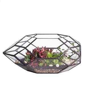 Terrarium élégant en verre avec cadre en métal noir pour plantes succulentes, terrarium en verre géométrique moderne pour l'intérieur - Product Image 5