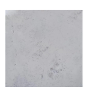 Marbre blanc de Banswara polyvalent pour les murs de construction, les projets commerciaux, les entrées, les extérieurs, les chambres, les salles de bain et les halls