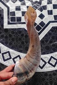 Shofar en corne de bélier Kudu, shofar en corne de bélier poli, shofar artisanal naturel, instrument en corne de bélier, shofar en corne de Kudu, shofar juif - Product Image 6
