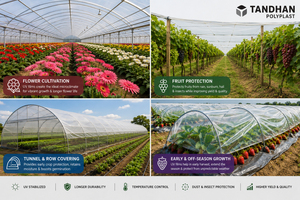 Lámina Agrícola Transparente de Polietileno con Tecnología Anti-Goteo y Estabilización UV TANDHAN para Invernaderos, Gestión del Calor, Bengala Occidental - Product Image 4