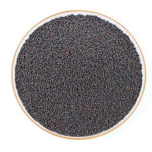 Graines séchées pour applications culinaires, graines de cumin noir naturelles de qualité supérieure, graines entières de cumin noir, soigneusement sélectionnées et nettoyées - Product Image 6