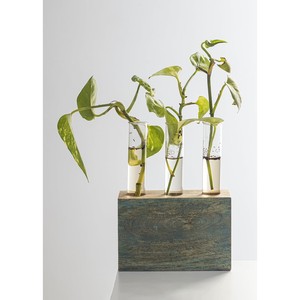 Macetero de Madera de Mango Pintado a Mano con Diseño de Elefante 30x30x30 cm Ecológico y Duradero Ligero |   Decoración de Jardín al por Mayor - Product Image 2