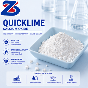Poudre d'oxyde de calcium de haute pureté, chaux vive pour la fabrication industrielle et la fourniture OEM - Product Image 1