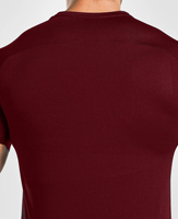 T-shirt de fitness pour homme, coupe ajustée, respirant, de haute qualité, OEM, en Spandex/Polyester, impression numérique, tissu personnalisable