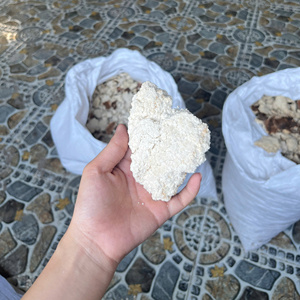 เค้กมะพร้าวขาว 100% สำหรับอาหารสัตว์ โค กระบือ ม้า สุนัข ไก่ และปลา ผลิตในเวียดนาม ยี่ห้อเป่าซอน บรรจุถุง 40 กก. เกรด 1 - Product Image 1