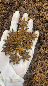 Anís estrellado seco de origen vietnamita, vainas enteras, bolsa de 6 onzas, suministro directo de fábrica para la industria alimentaria - Product Image 4