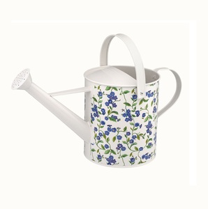 Regadera de Metal Esmaltado Pintada a Mano, para Plantas de Interior y Exterior, Jardín, Macetas, Riego por Aspersión - Product Image 4