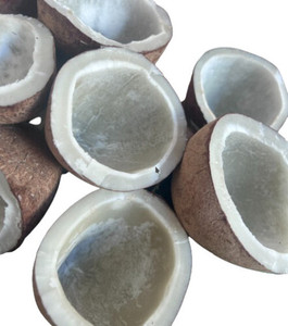 เครื่องทำมะพร้าวตากแดดเนื้อมะพร้าวดิบ - Product Image 6