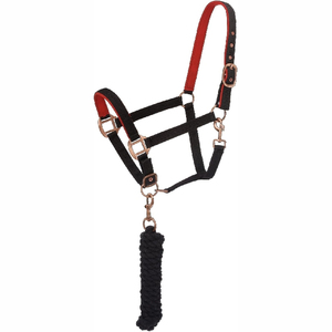 Harnais de cheval en nylon noir avec rembourrage blanc et boucles dorées pour l'équitation et l'entraînement - Product Image 6