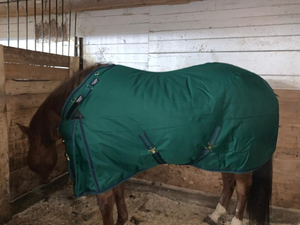 Wholesale Equestrian Equine Equipment NP Fitting Horse Fleece Rug Horses Blanket <b>Set</b> Hors Riding Products - Product Image 6
