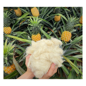 Fibra de hoja de piña de primera calidad para uso en prendas de vestir y moda - Product Image 4