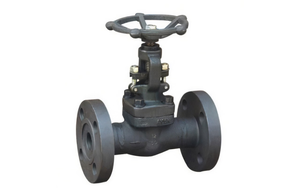 Válvula de Globo de Acero al Carbono Forjado A105, 1 Pulgada, Extremo Roscado, Clase 150, para Agua a Alta Temperatura, Control de Flujo Manual, OEM Industrial - Product Image 3