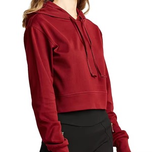 Sweat à capuche décontracté à manches longues en coton pour femme, couleurs personnalisées, logo, pour l'hiver, nouvelle collection 2026, sweats à capuche épais pour homme - Product Image 4