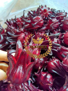 Flores de hibisco secas Flores de alcachofa roja natural | Suministro a granel para té, bebidas, uso de hierbas de Vietnam - Product Image 4